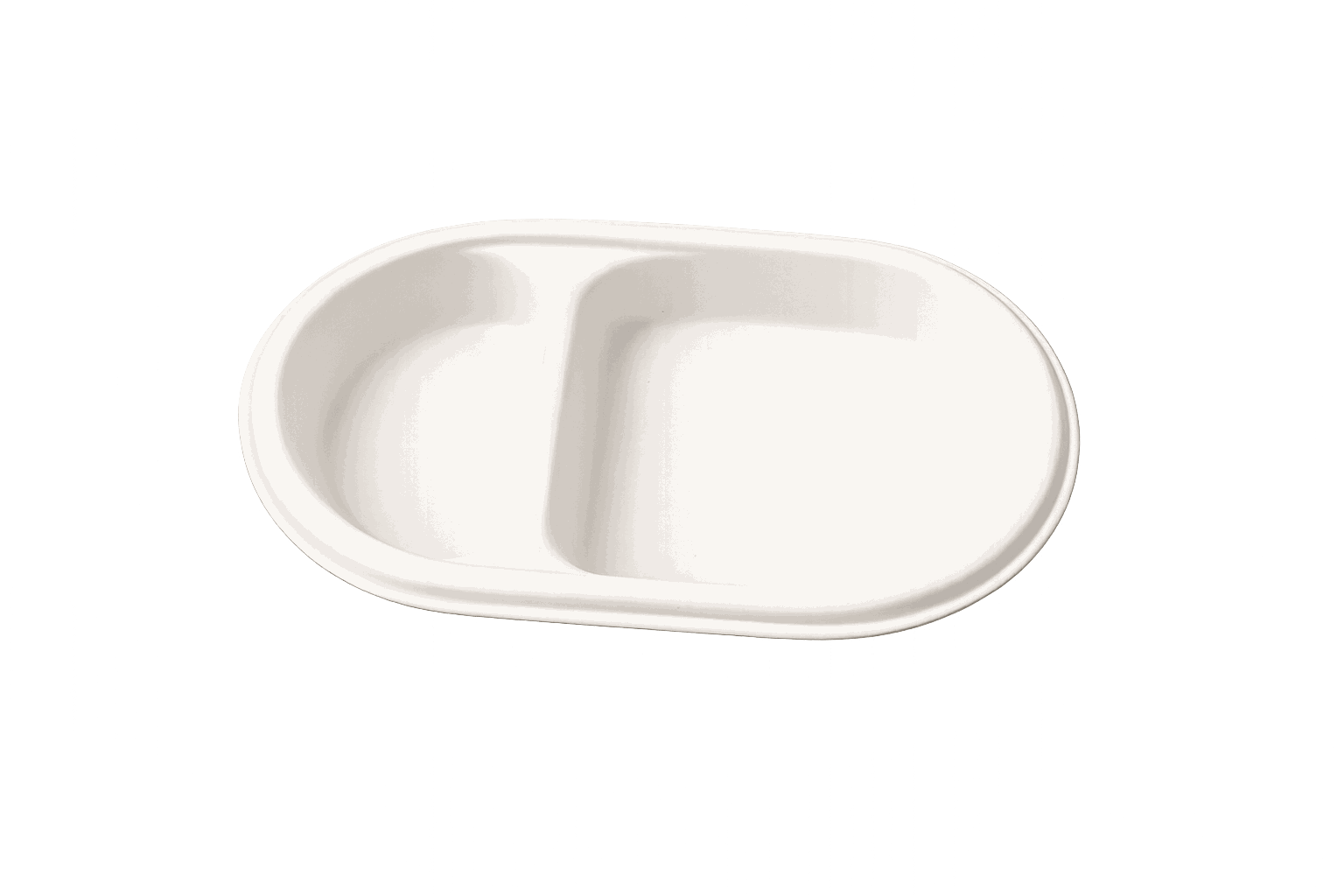 Bagasse Meal Tray Image